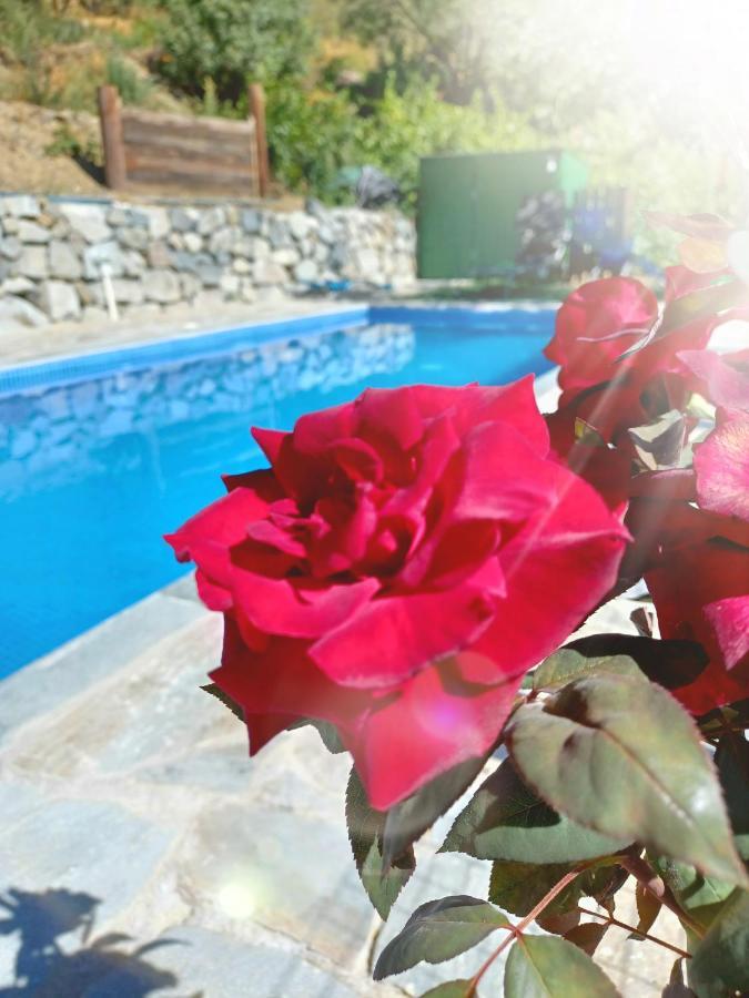 Villa Agrompelo House Agros Esterno foto
