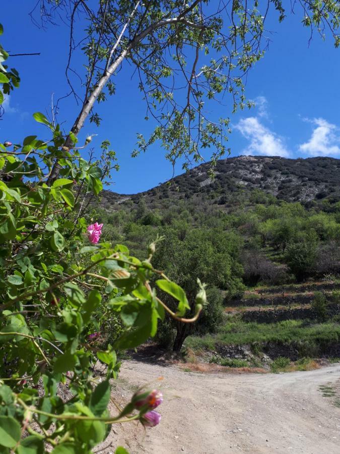 Villa Agrompelo House Agros Esterno foto