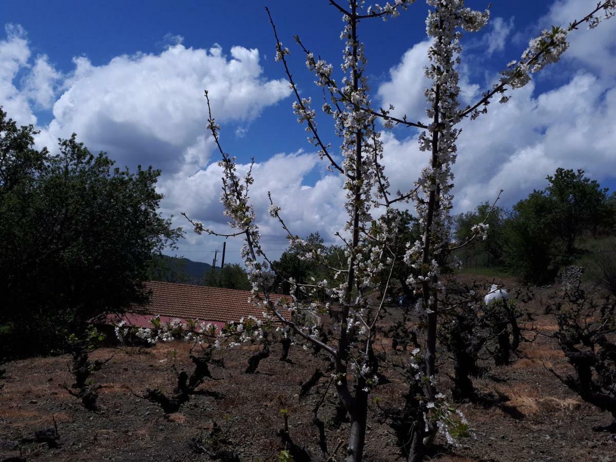Villa Agrompelo House Agros Esterno foto